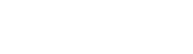 Prime Solution Logo in White